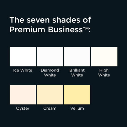 Blake Business A4 297 x 210 mm 120 gsm Paper (61676) Cream Wove