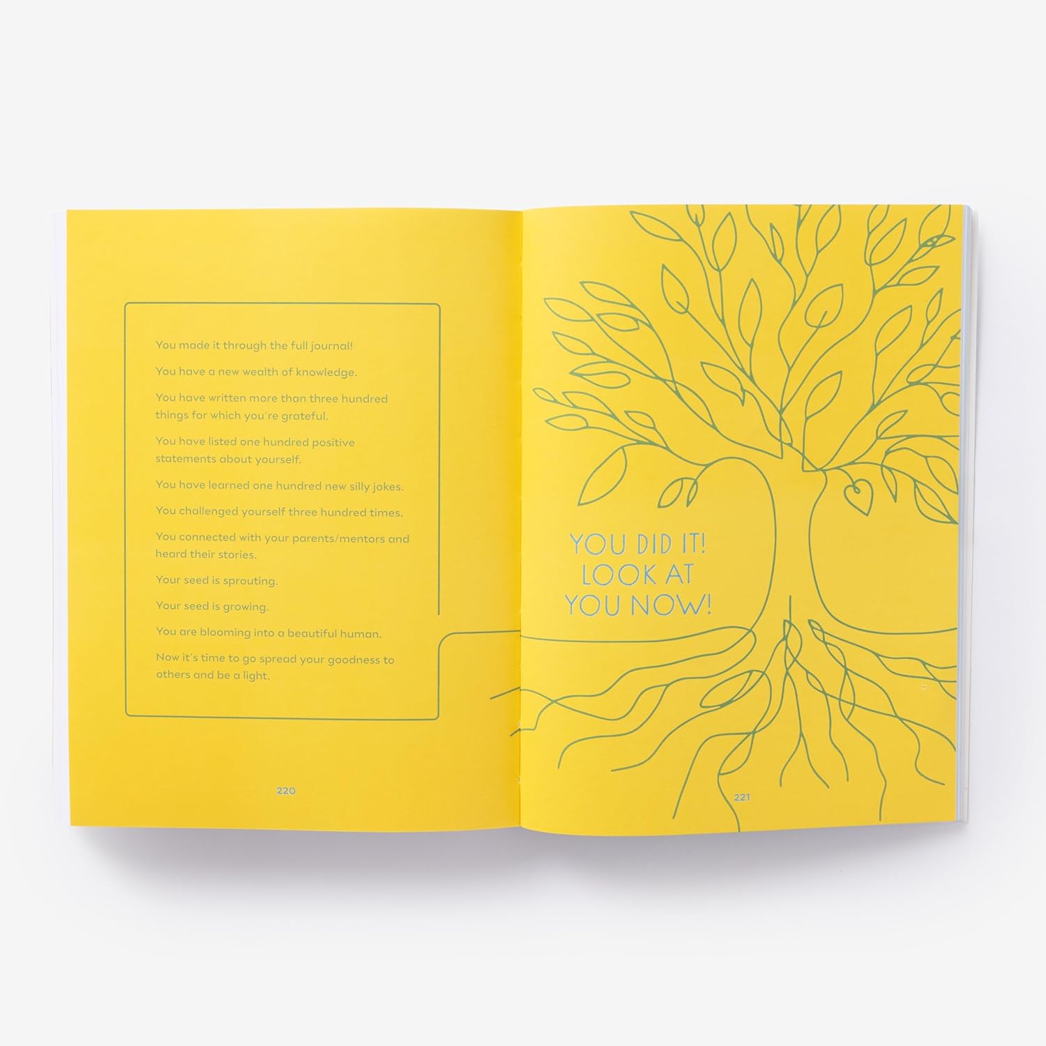 A Simple Seed: A Five-Minute Journal for Growth, Gratitude, and Goodness