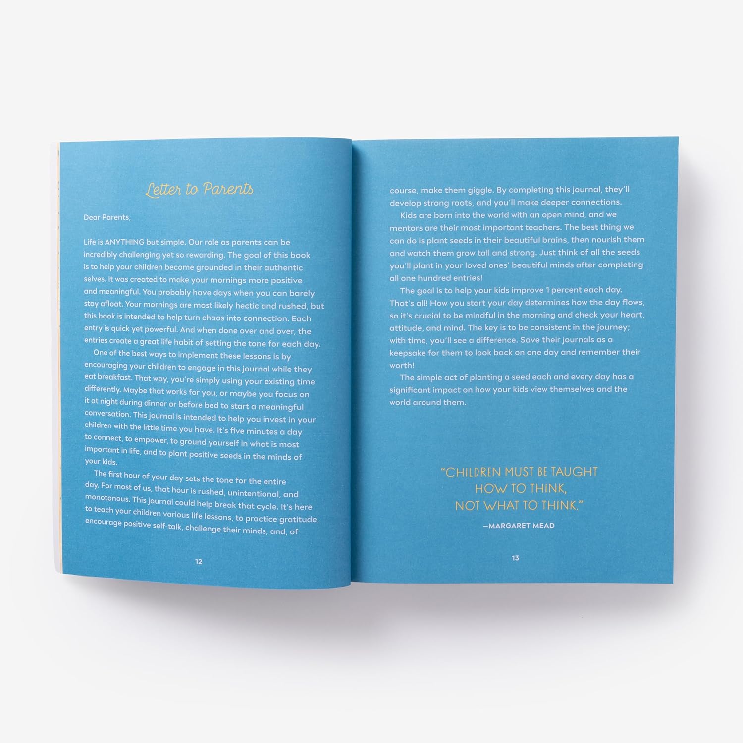 A Simple Seed: A Five-Minute Journal for Growth, Gratitude, and Goodness