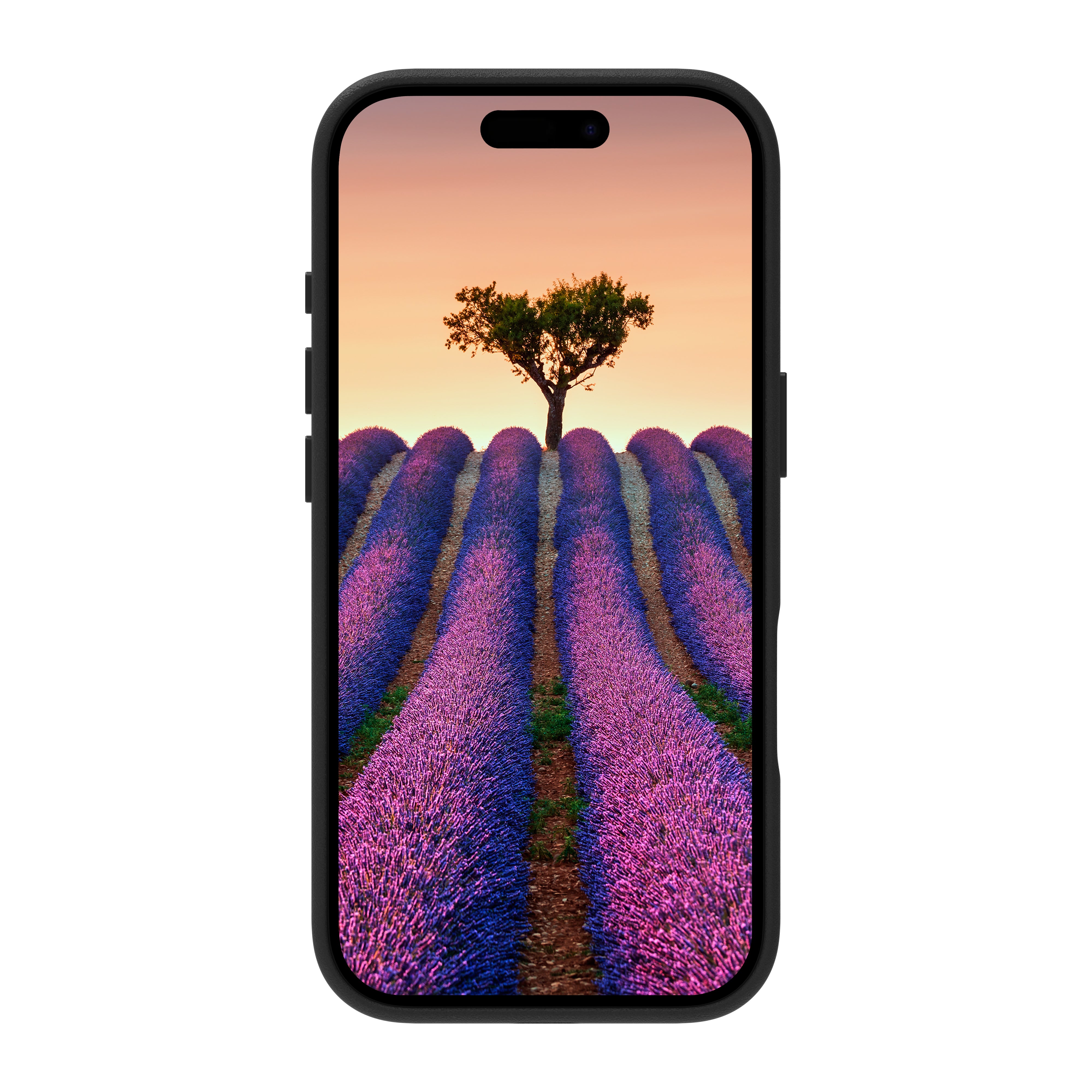 dbramante1928 Roskilde MS mobile phone case Cover Black