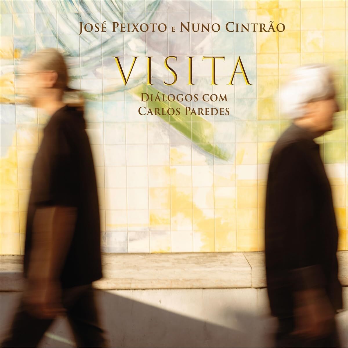 Visita