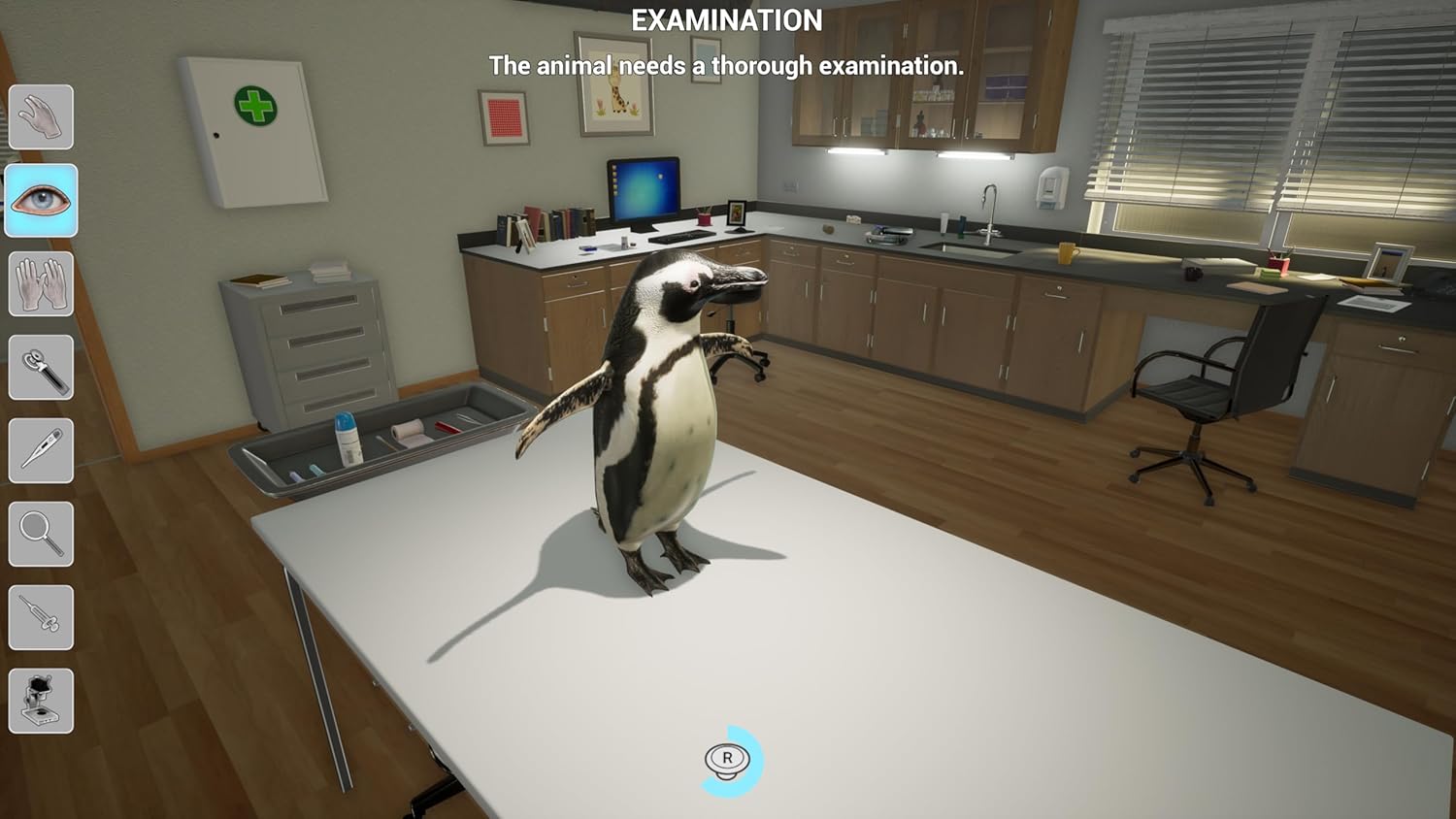 My Vet Practice In The Zoo