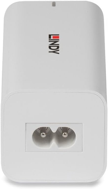 Lindy 100W 4-Port USB Type A & C GaN Charger