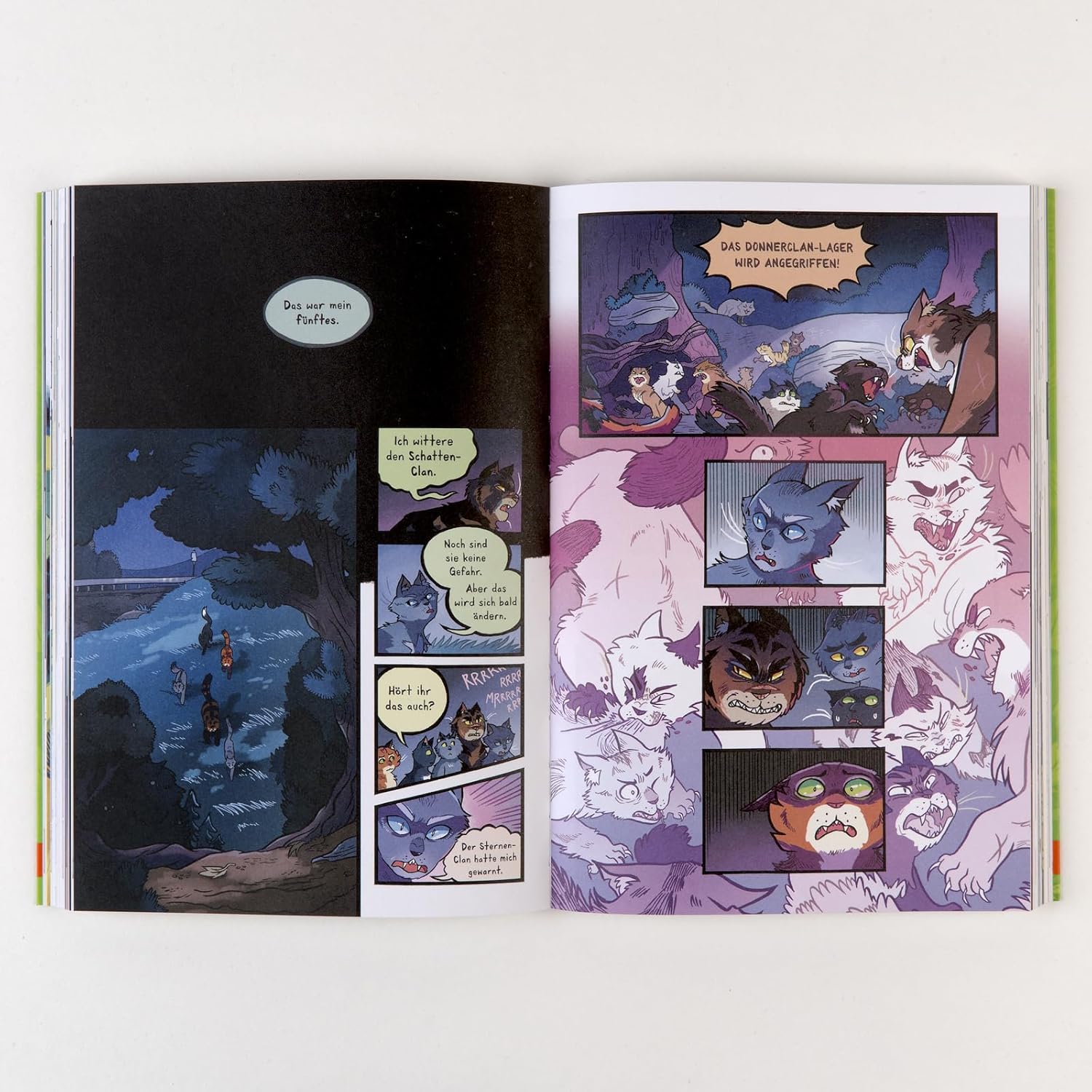 Warrior Cats - Die Prophezeiungen Beginnen - (German Import)