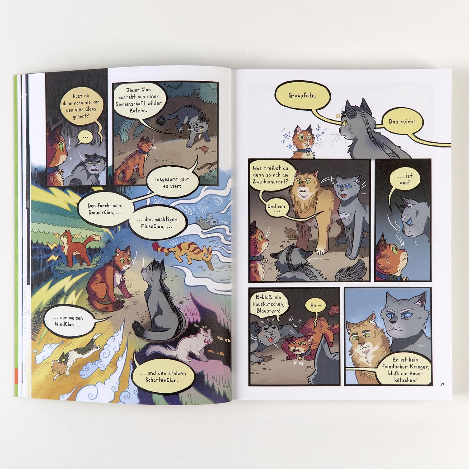 Warrior Cats - Die Prophezeiungen Beginnen - (German Import)