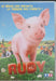 Rudy : l'incorrigible petit cochon