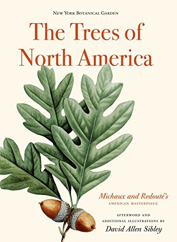 Trees Of North Amer