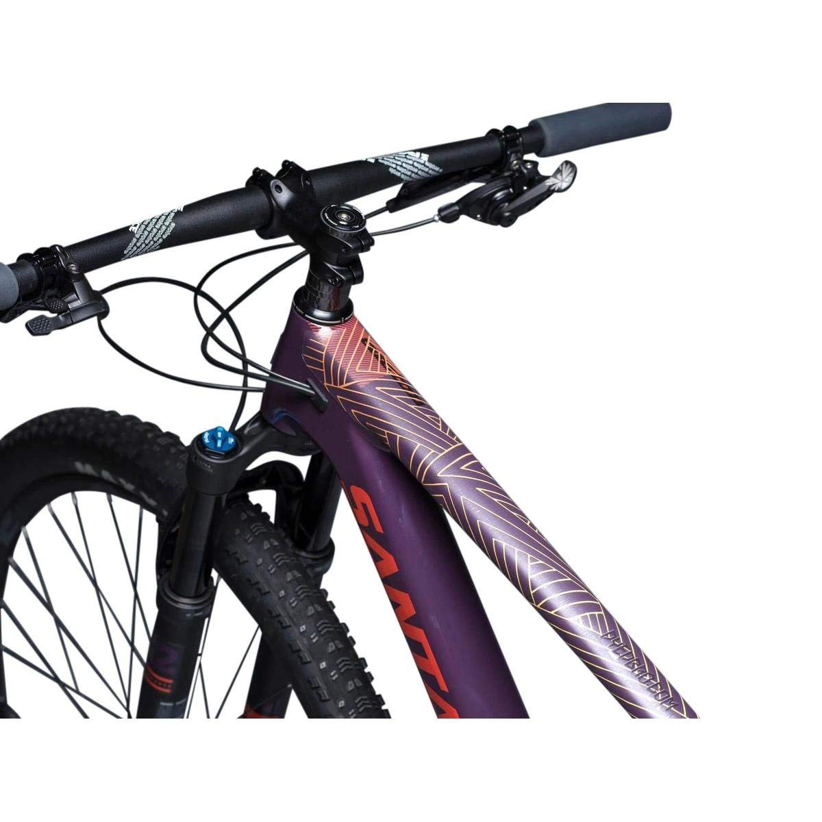 DYEDBRO - Protection de Cadre de vélo de VTT – Finition Mate – Plusieurs Styles – Couverture teintée par enveloppe Bro