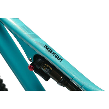 DYEDBRO Frame Protection - Clear Glitter - MTB