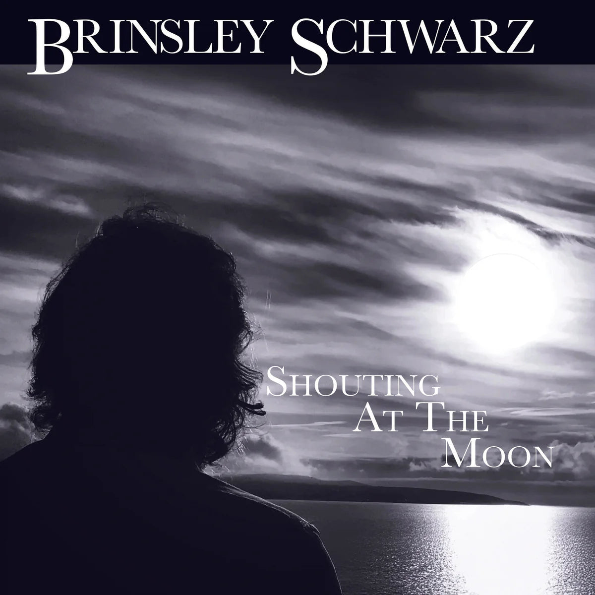 Shouting at the Moon