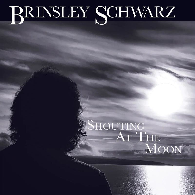 Shouting at the Moon
