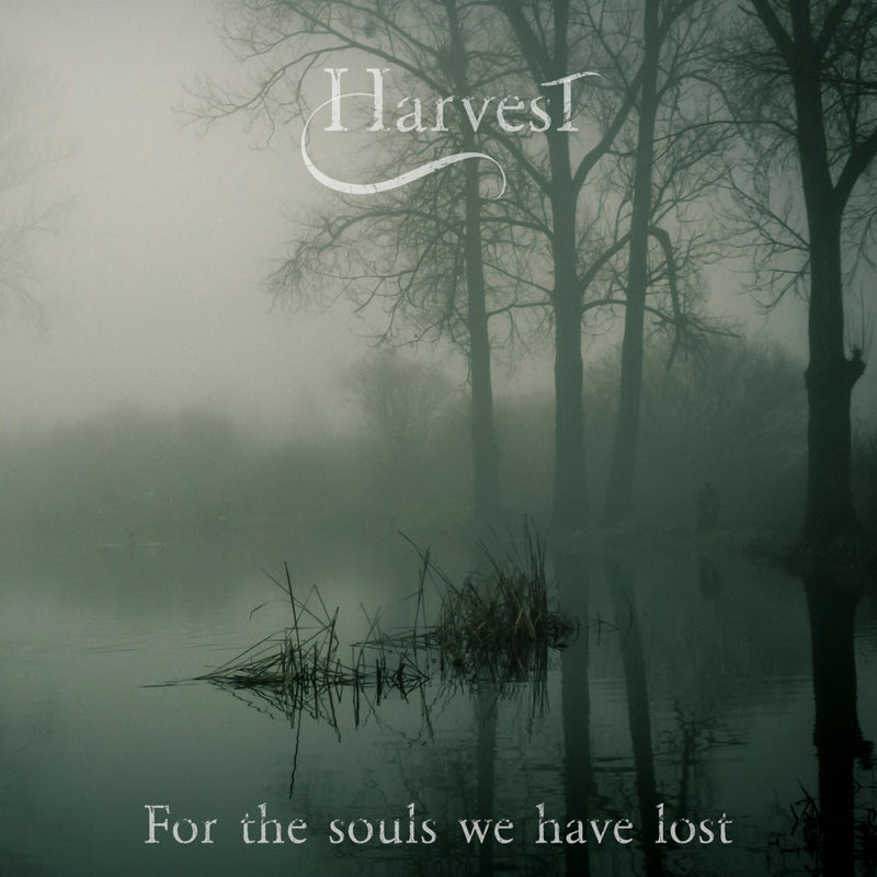 For the Souls We Have Lost