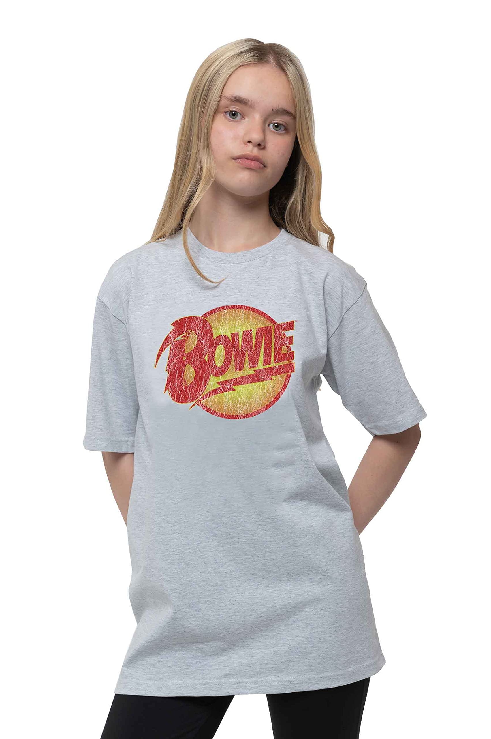 T-Shirt # 3-4 Years Kids Grey # Vintage Diamond Dogs Logo