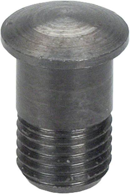 Campagnolo Zonda Magnetic Nipple Screw 2013+