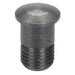 Campagnolo Zonda Magnetic Nipple Screw 2013+