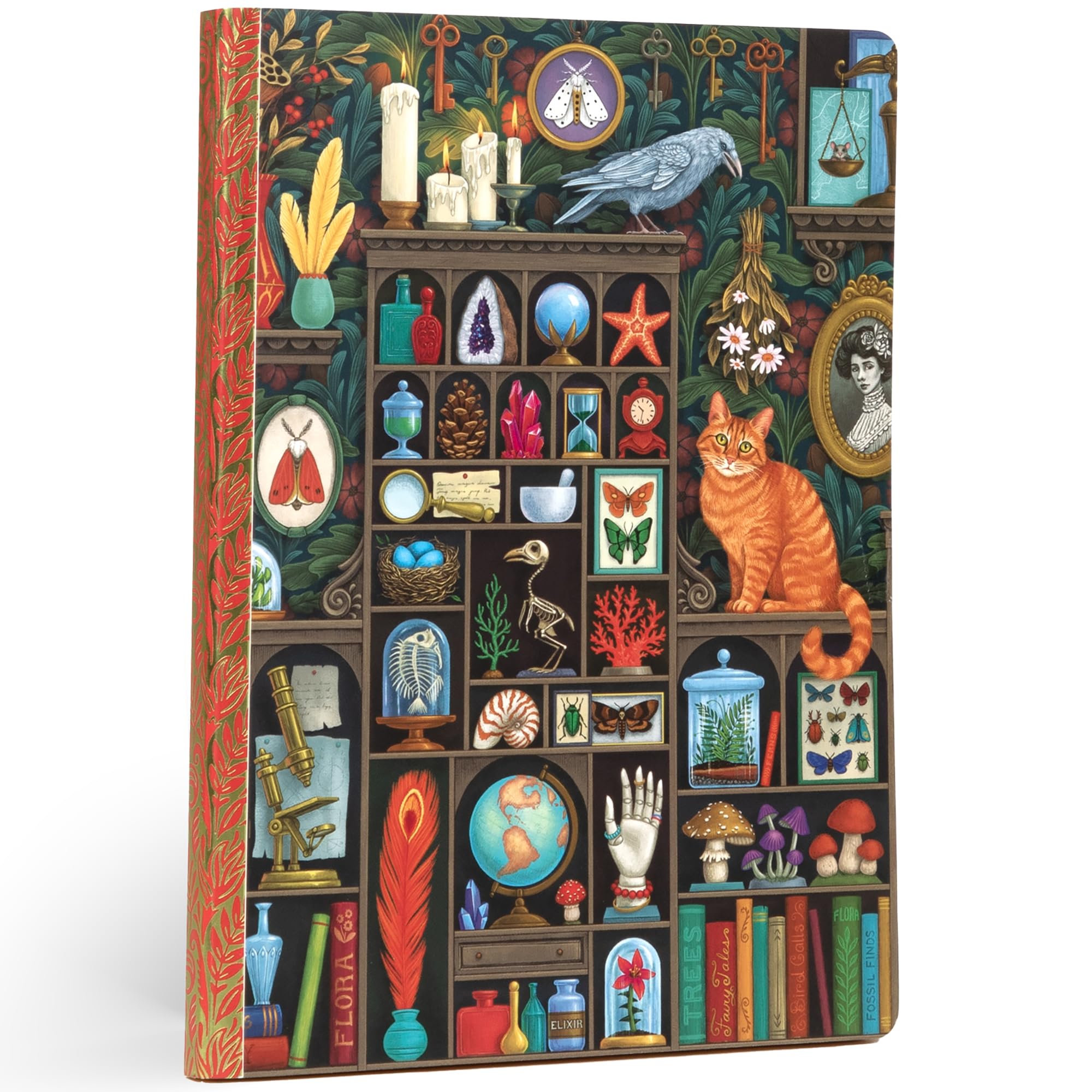 eeBoo Piece & Love: Luxe Journal - Alchemist's Cabinet – 112pg Gilded Notebook, Illustrated Hardcover, Dotted & Lined Paper, 8 x 5.87, Foil Detailing