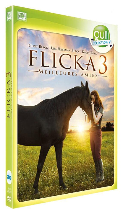 Flicka 3 Meilleures Amies
