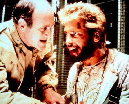 Survivor - Zum Überleben verdammt / Postapokalyptisches Science-Fiction-Abenteuer mit Chip Mayer und Richard Moll (Pidax Film-Klassiker