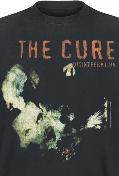 DISINTEGRATION