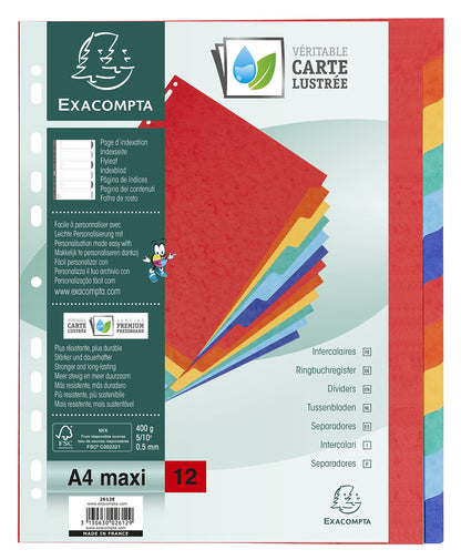 Exacompta 2612E Divisori e Segnaletica, 24.2x29.7 cm, Multicolore