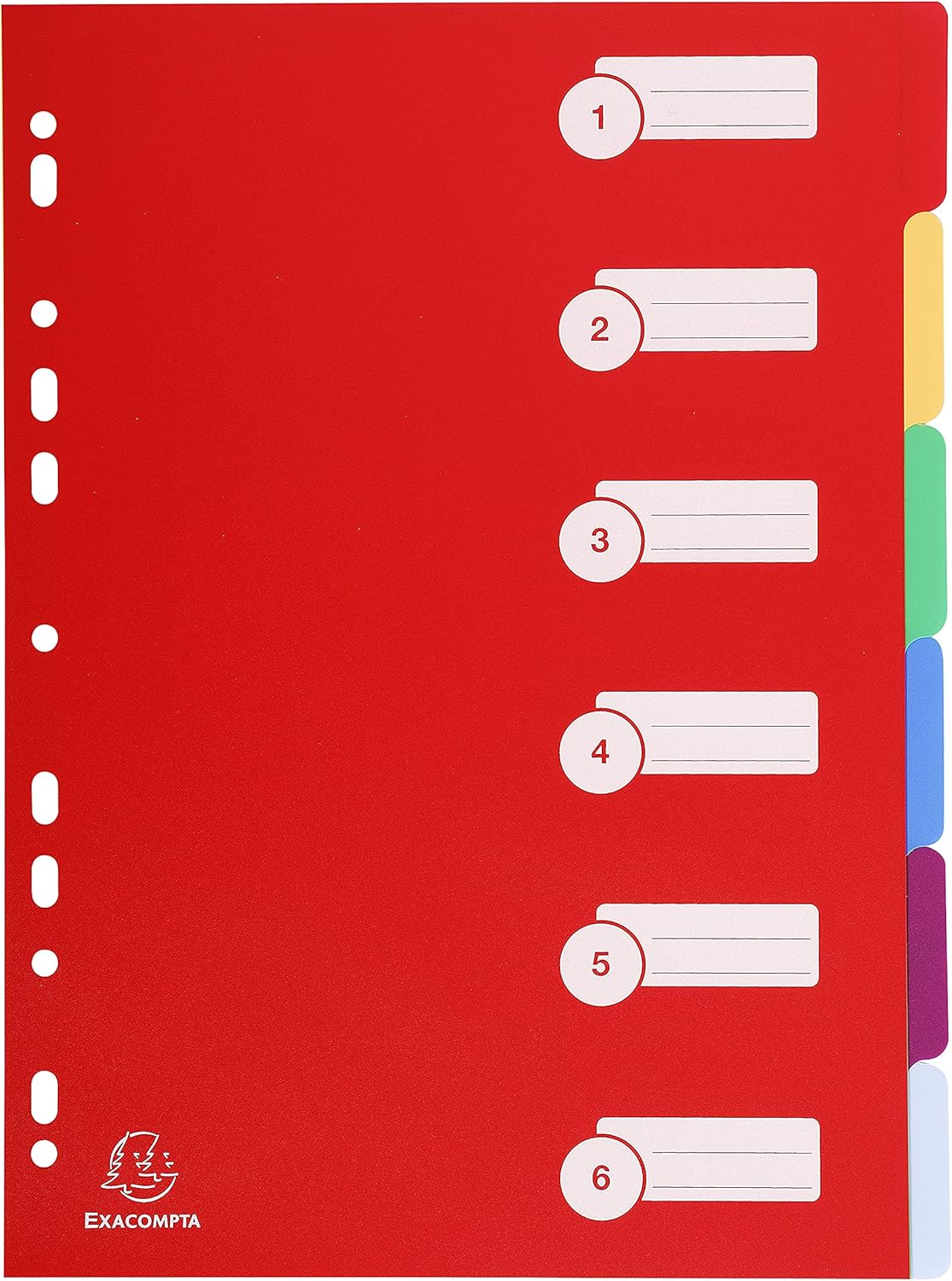 Exacompta 4906E Divisori e Segnaletica, 21x29.7 cm, Multicolore