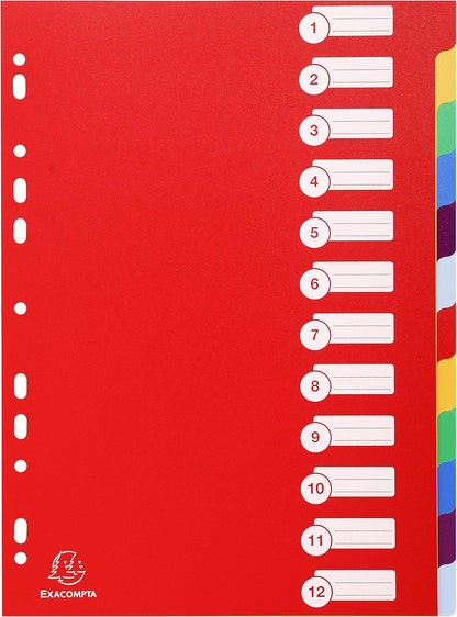 Exacompta 4912E Divisori e Segnaletica, 21x29.7 cm, Multicolore