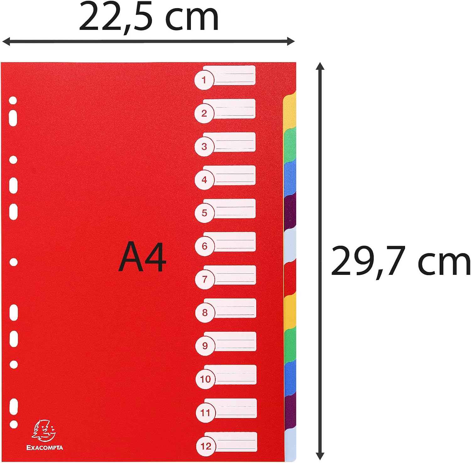 Exacompta 4912E Divisori e Segnaletica, 21x29.7 cm, Multicolore