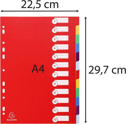Exacompta 4912E Divisori e Segnaletica, 21x29.7 cm, Multicolore