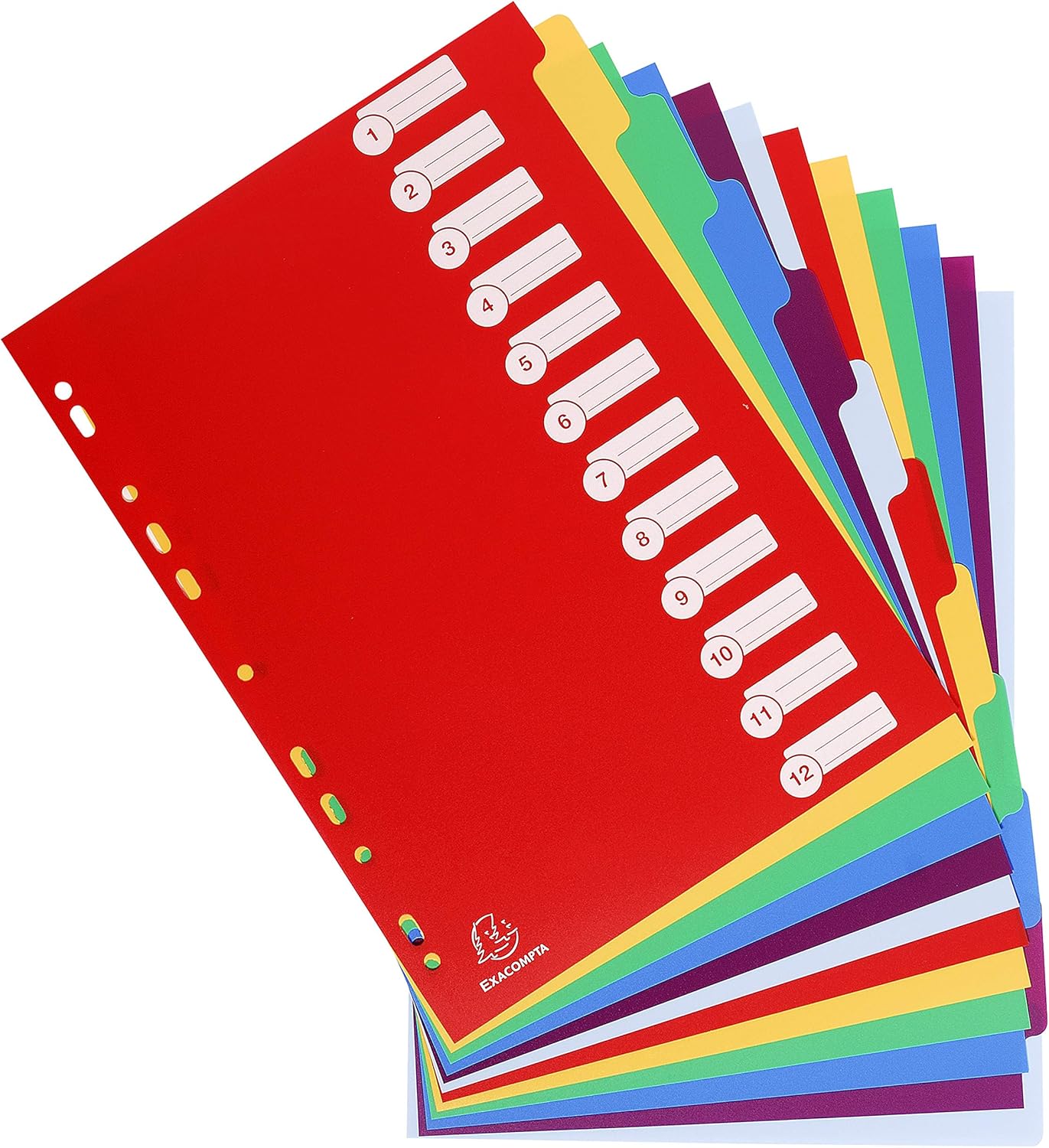 Exacompta 4912E Divisori e Segnaletica, 21x29.7 cm, Multicolore