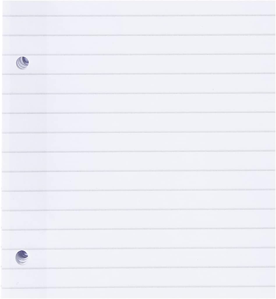Pigna, Confezione da 40 Ricambi con 4 fori, archiviazione, banda laterale rinforzata, fogli con buchi rinforzati, Fogli f.to A4, 21x29,7, 1R, righe