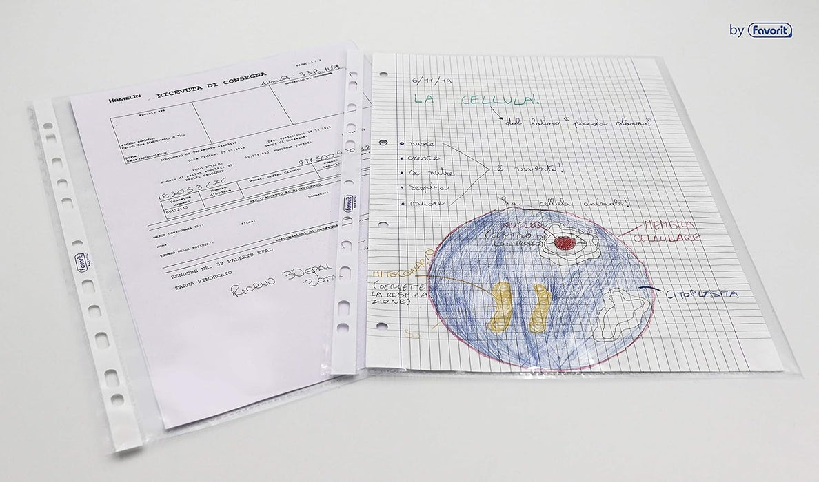 Favorit Buste Perforate, Buccia d'Arancia, Alto Spessore, 22 x 30 cm, 25 Pezzi + 1 Omaggio, Trasparenti