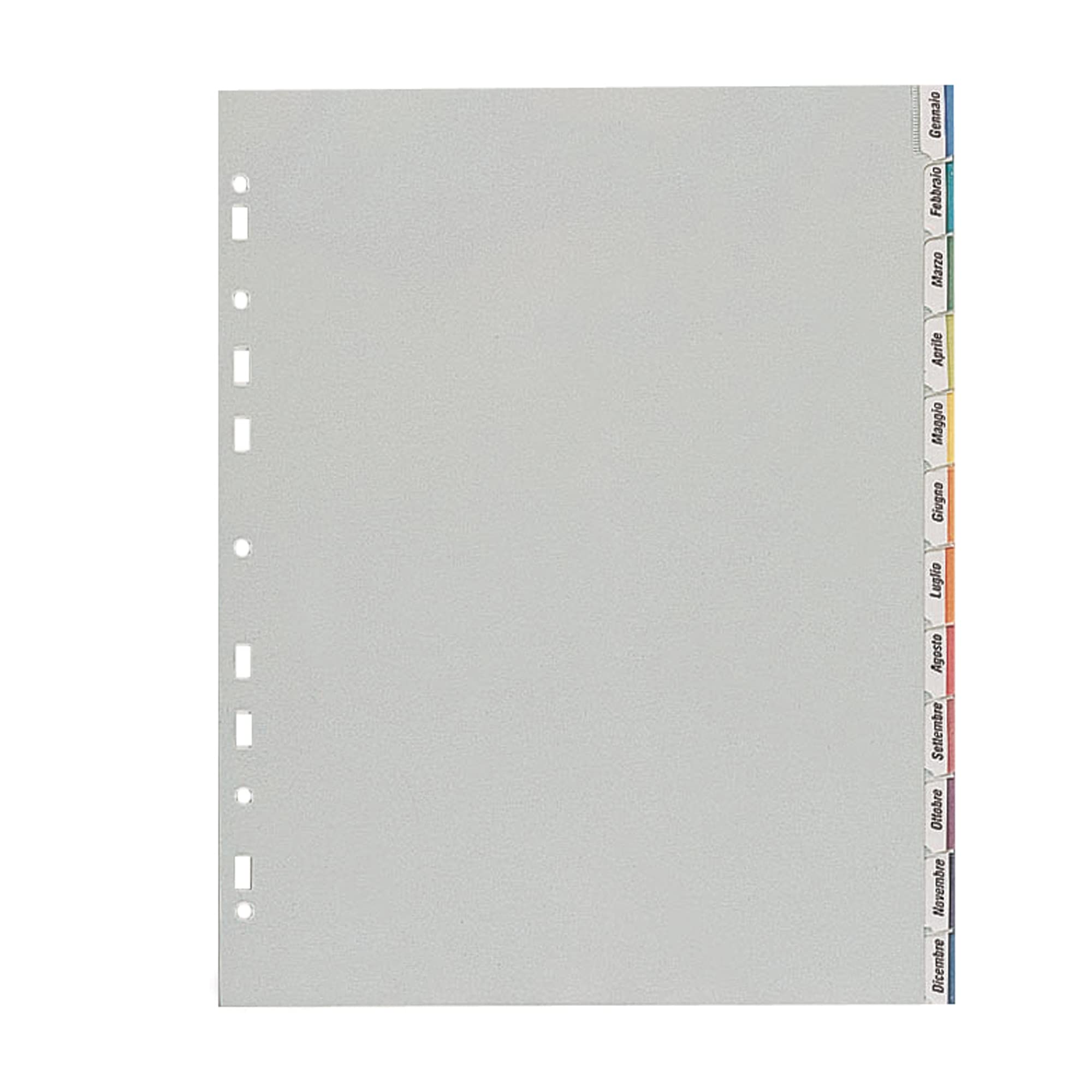 Favorit 40006688 Divisori con Foratura Universale per Raccoglitori ad Anelli con 12 Tacche Neutre e Cartoncino Stampato, Formato Interno 22 x 30 cm, in Polipropilene (Materia Plastica Atossica