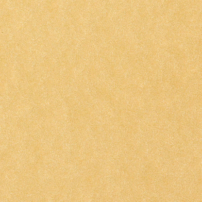 Favini 867171 Pergamena Liscio