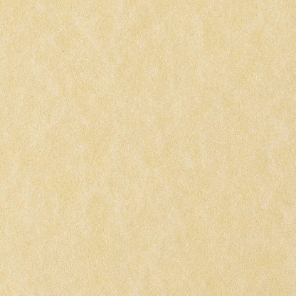 Favini 867197 Pergamena Liscio, 50 Pezzi