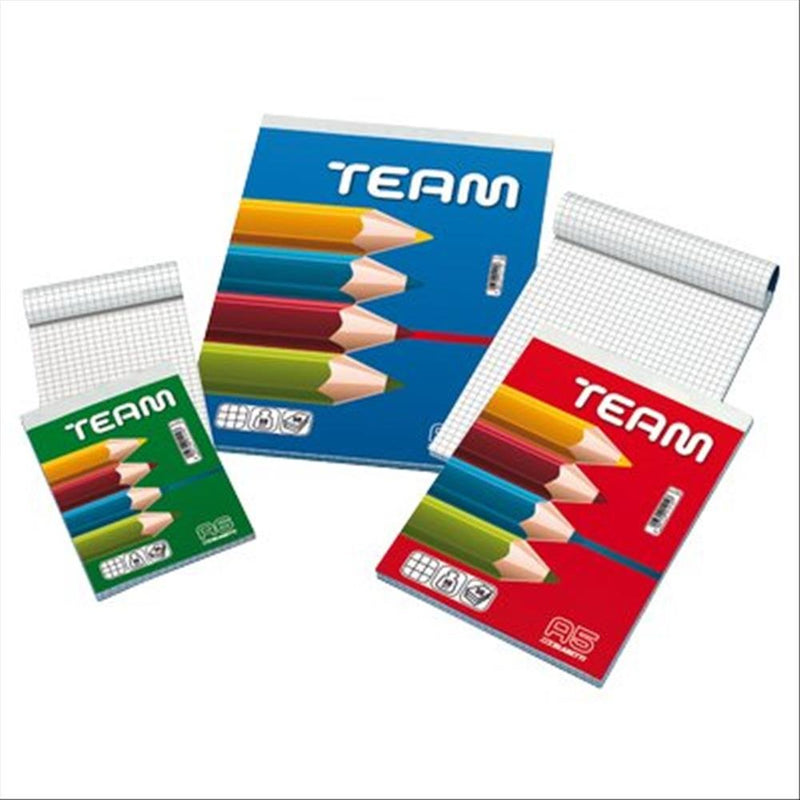 Blasetti 94350 Blocco Note 21 x 29,7Mm A4 5Mm 50Gr 50Fg