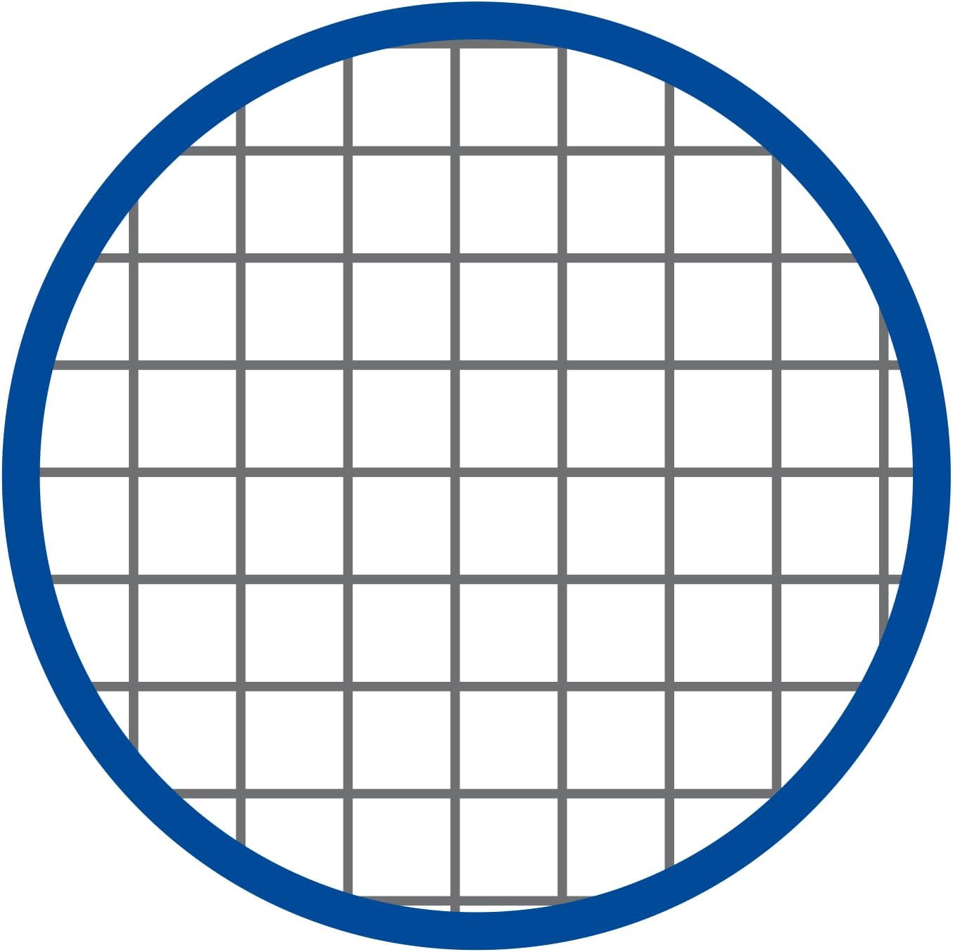 Blasetti One Color - Quaderno con spirale laterale formato A4 con fori archiviazione, Confezione da 5 pezzi, Carta 80gr, Copertina in cartoncino monocromatica - Rigatura 4M (quadretti 4mm