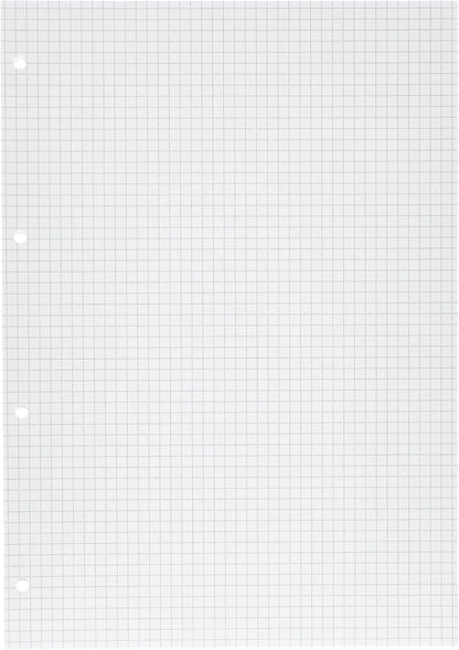 Blasetti Ricambi Rinforzati - Confezione da 40 fogli a quadretti formato A4, Rigatura 5M (5mm), fogli di ricambio per raccoglitori e copertine ad anelli, fogli di carta ricaricabili da 80gr