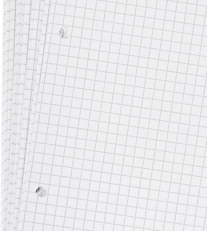 Blasetti Ricambi Rinforzati - Confezione da 40 fogli a quadretti formato A4, Rigatura 5M (5mm), fogli di ricambio per raccoglitori e copertine ad anelli, fogli di carta ricaricabili da 80gr