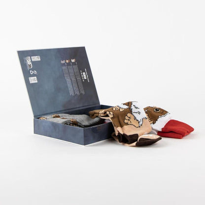 CERDÁ LIFE'S LITTLE MOMENTS SOCKS PACK 3 PIECES GREMLINS