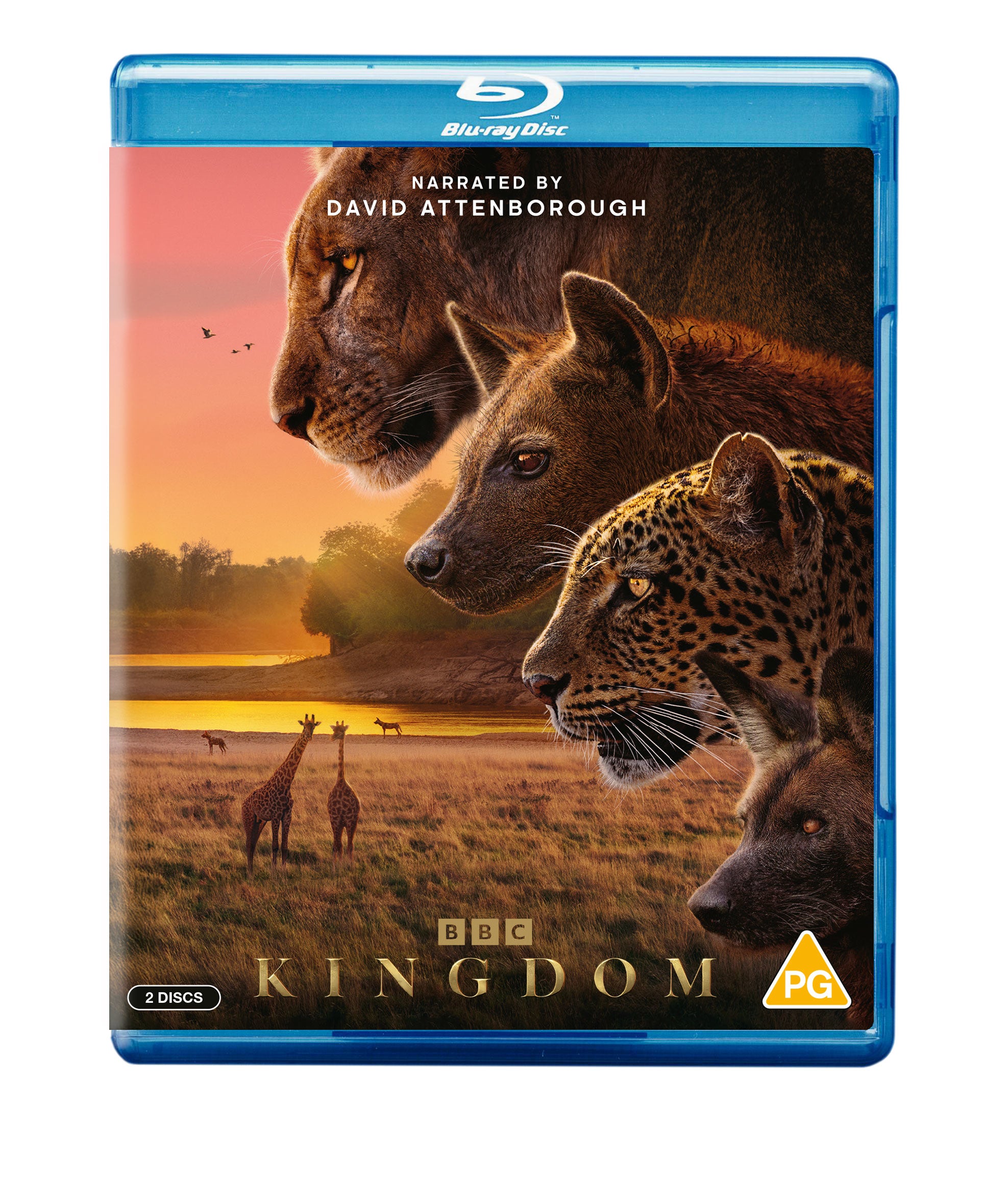 Kingdom