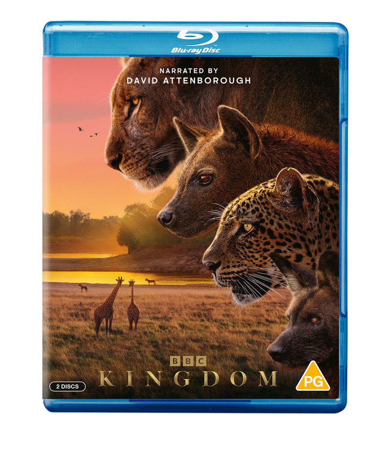 Kingdom