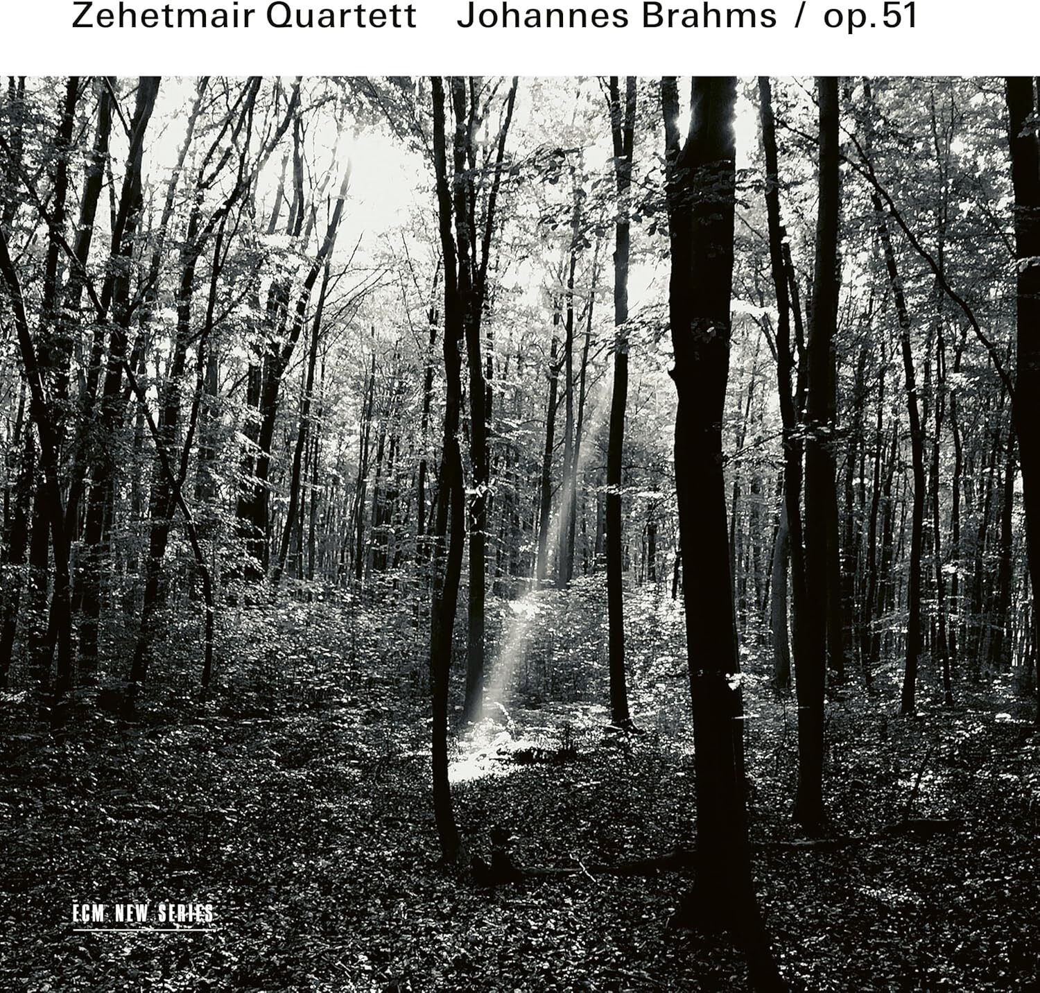Johannes Brahms: Op. 51
