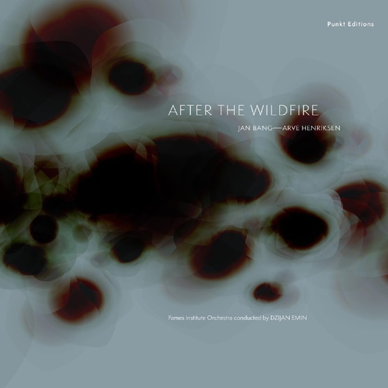 After The Wildfire (LP