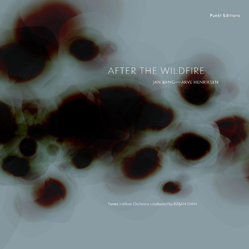 After The Wildfire (LP