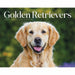 Goldens Retrievers Box Calendar 2026