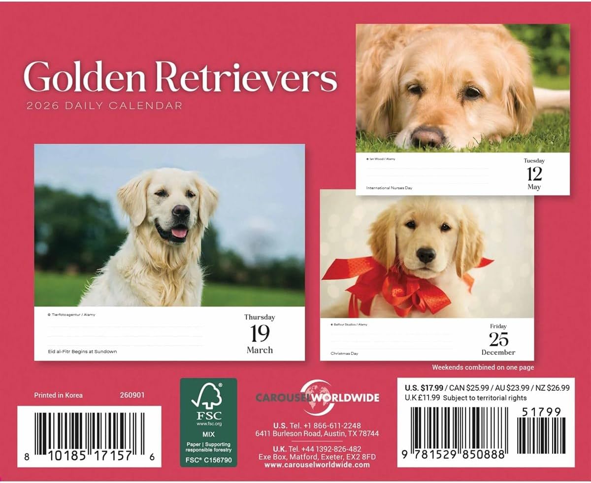 Goldens Retrievers Box Calendar 2026