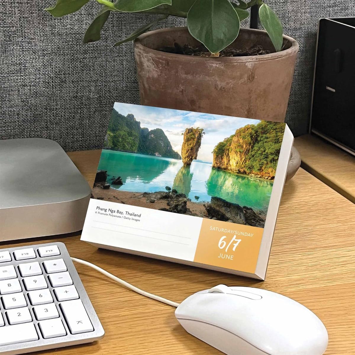 Beach Life Box Calendar 2026