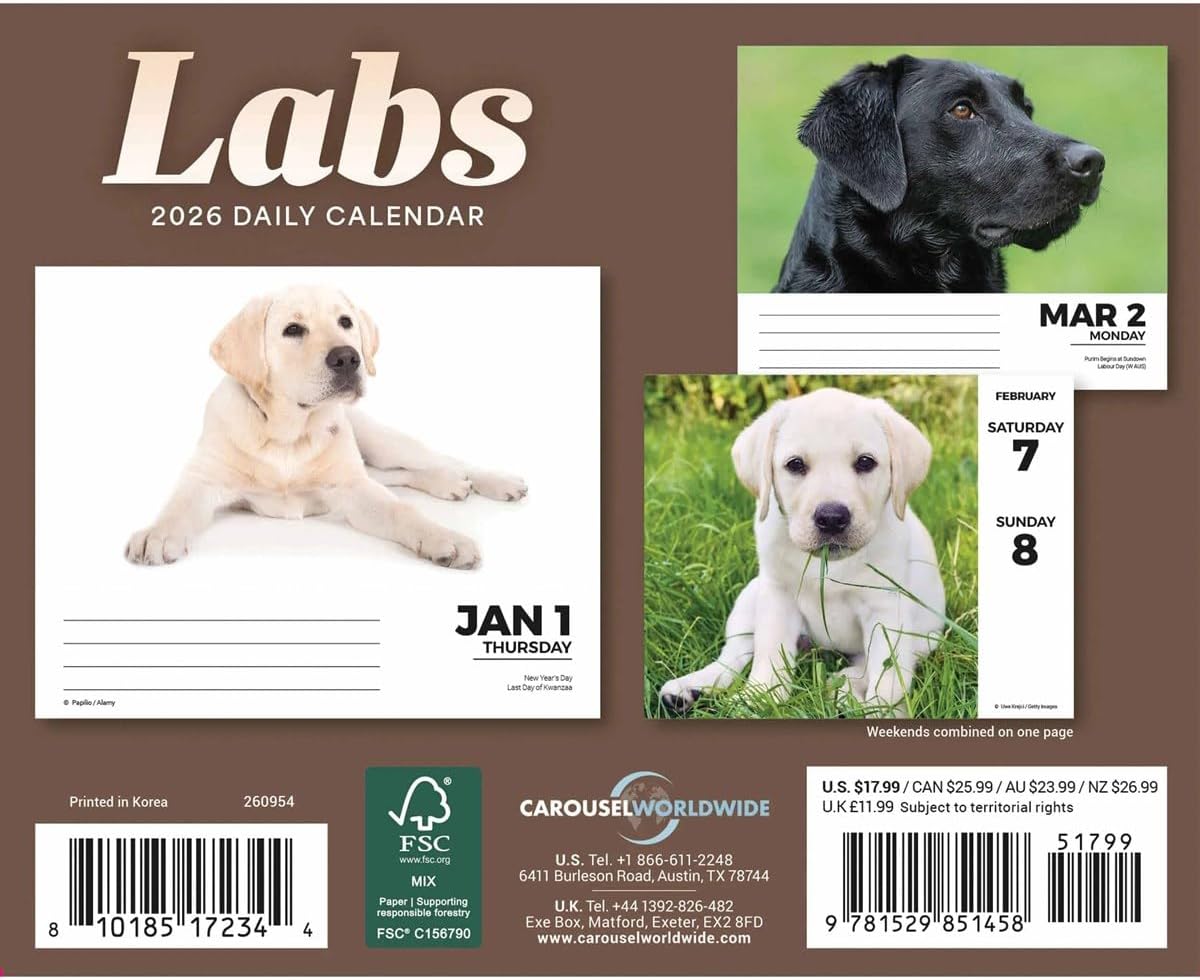 Labrador Retrievers Desk Calendar 2026