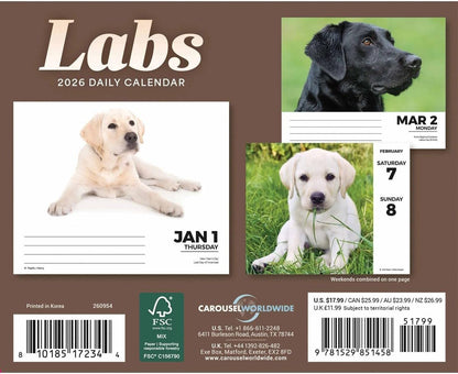 Labrador Retrievers Desk Calendar 2026