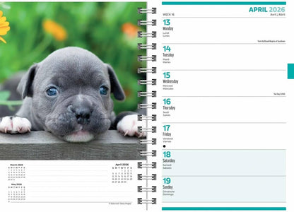 Carousel Worldwide, Puppies 2026 Engagement Diary Planner